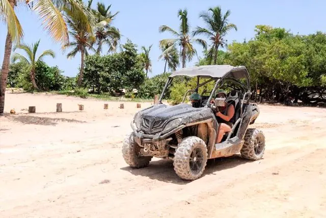 Buggy Terracross - Imagen 4